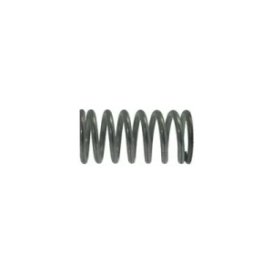 Steam Wand Spring