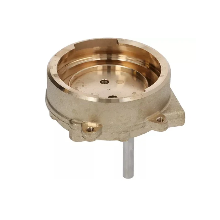 Gaggia Brass Group Body - Image 2