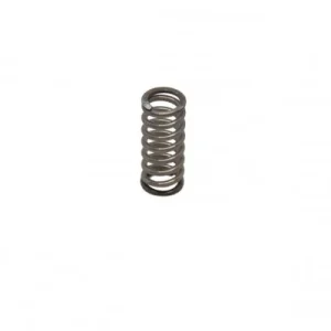 E61 Steam/Water Valve Rear Spring