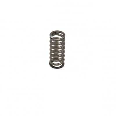 E61 Steam/Water Valve Rear Spring