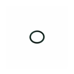 O-Ring 0160-20 EPDM