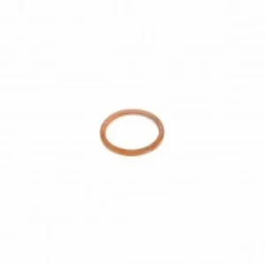 Rancilio Group Head Infusion Valve Chamber Gasket