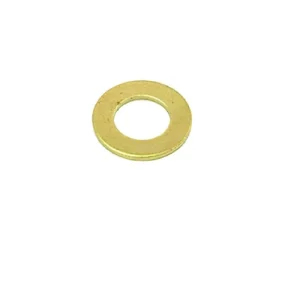 E61 Steam/Water Piston Gasket Washer