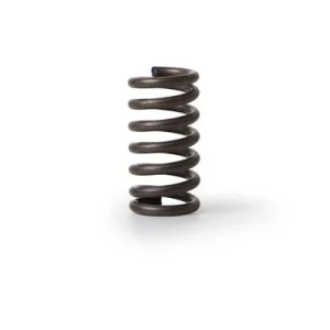 Fiorenzato Grind Adjustment Collar Spring