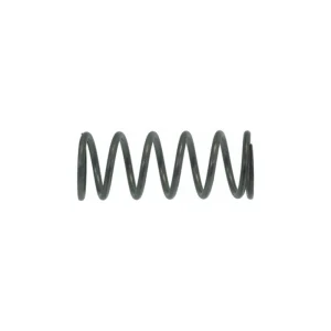 Steam/Water Valve Spring
