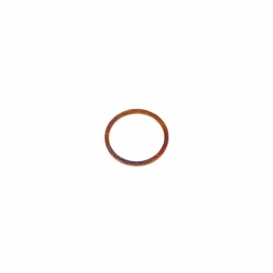 Steam/Water Valve Body Copper Gasket