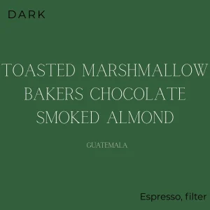 Brewed Daily - Bold Brew Dark Roast Coffee Beans