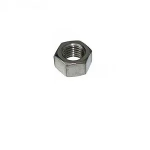 M6 Hexagonal Nut