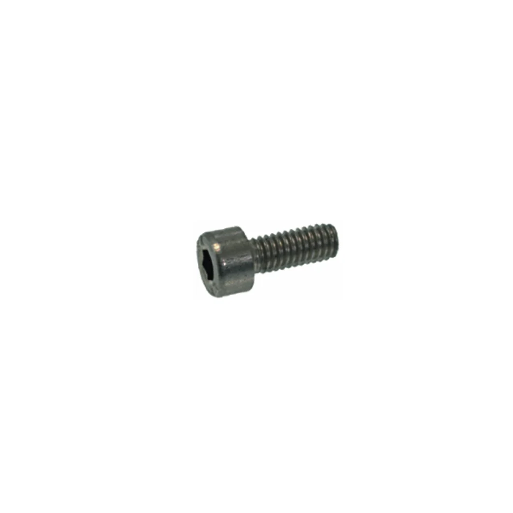 M4 x 10mm Allen Screw